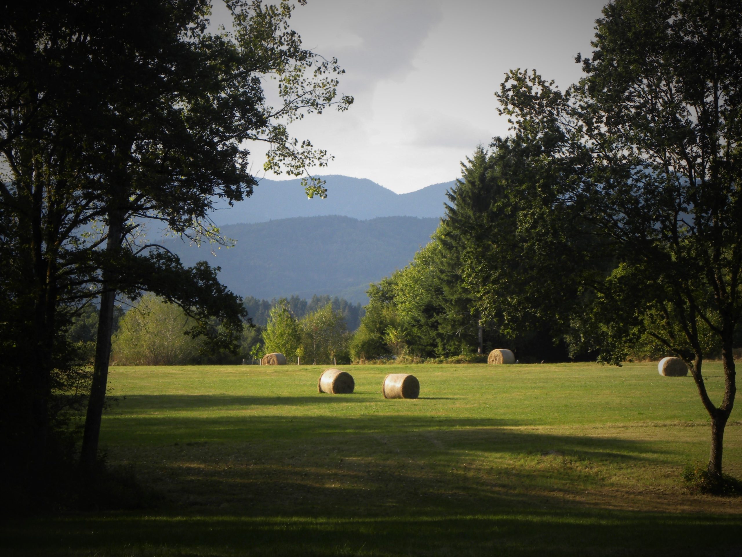 Diagnostic Agricole et Forestier – Concertation pour le PLUI de Communauté de communes de la Vallée de la Doller et du Soultzbach