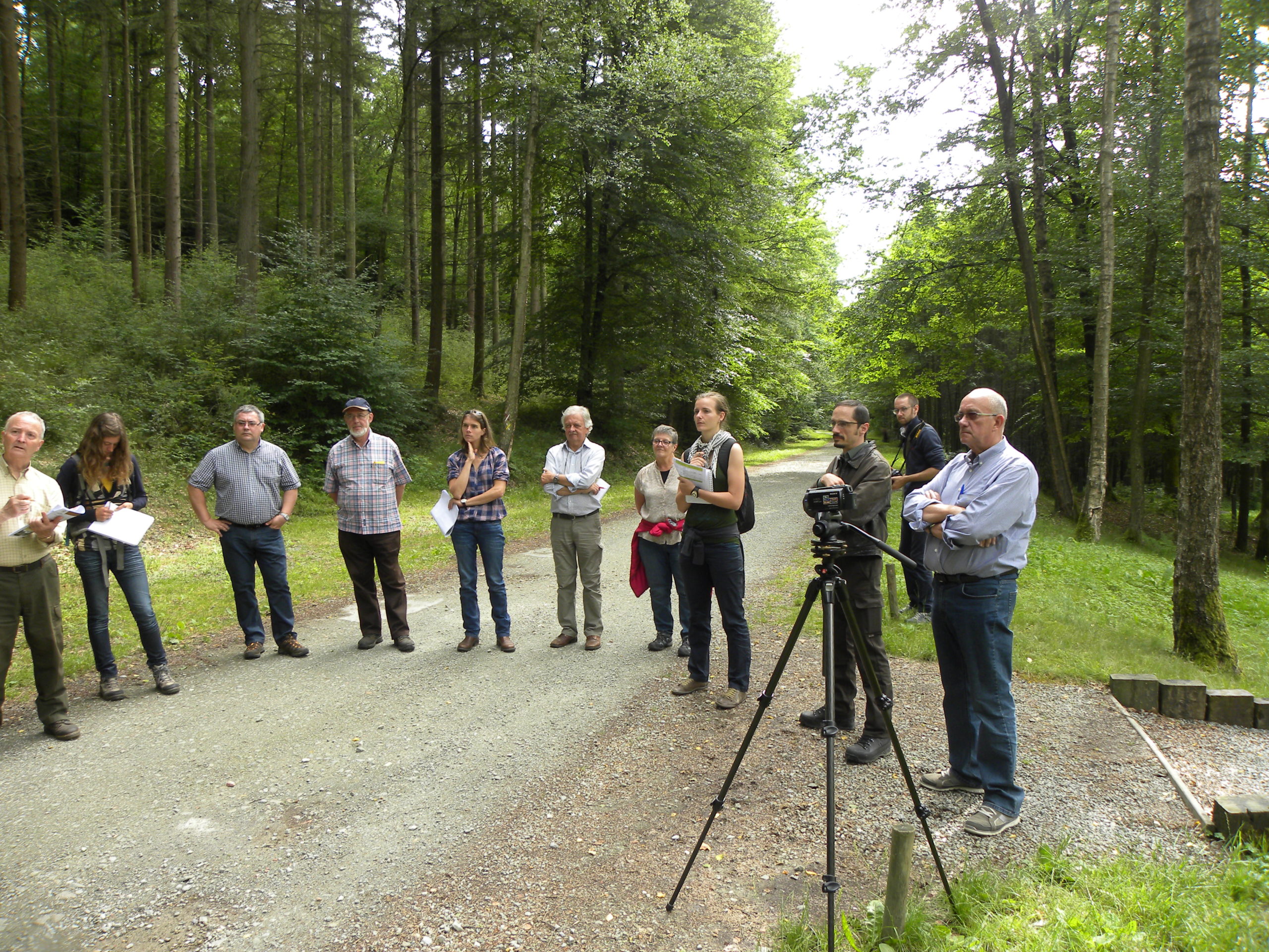 First Forestry contract for Wallony (Belgium)